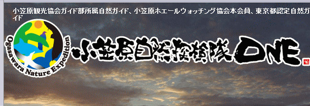 link_ogasawarasizenntannkenntai