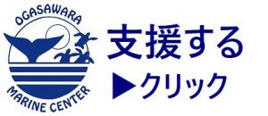 小笠原海洋センター ロゴ